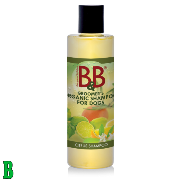 B&B kologisk Citrus Shampoo 250ml