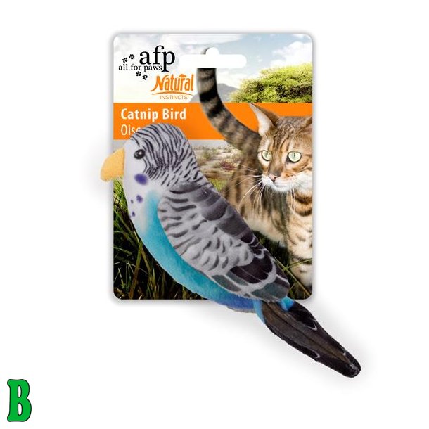 Fugl Med Catnip