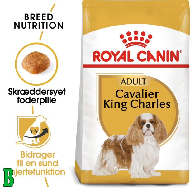 Royal Canin Cavalier King Charles Adult