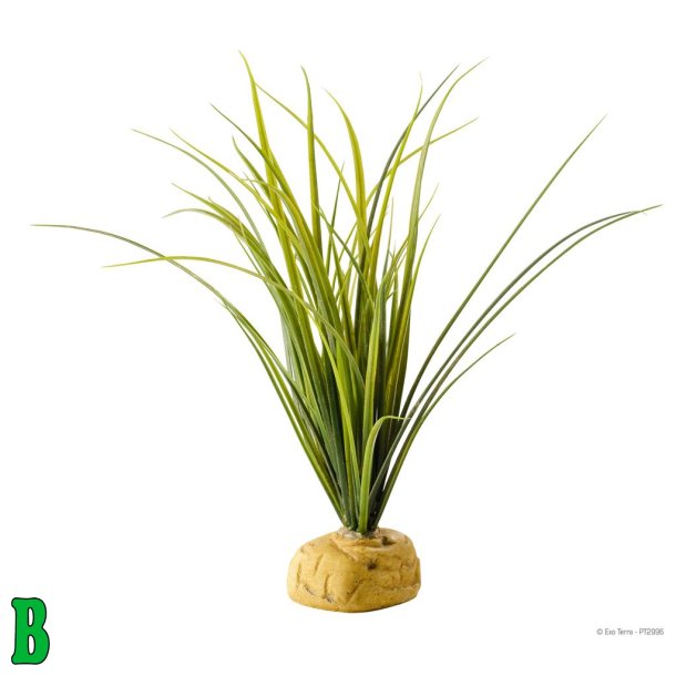 ExoTerra Turtle Grass