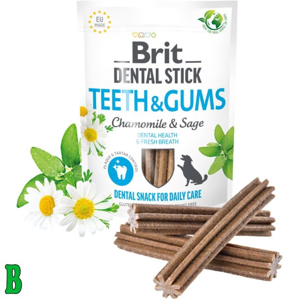 Brit Dental Stick Teeth &amp; Gums