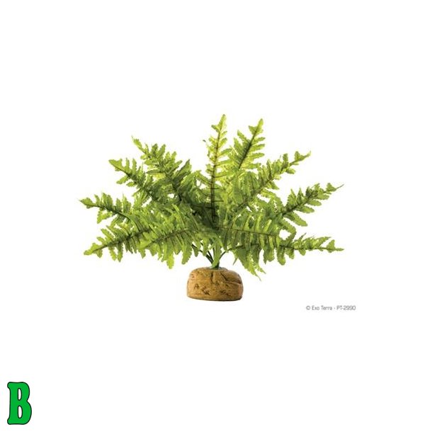 ExoTerra Bregne i plast