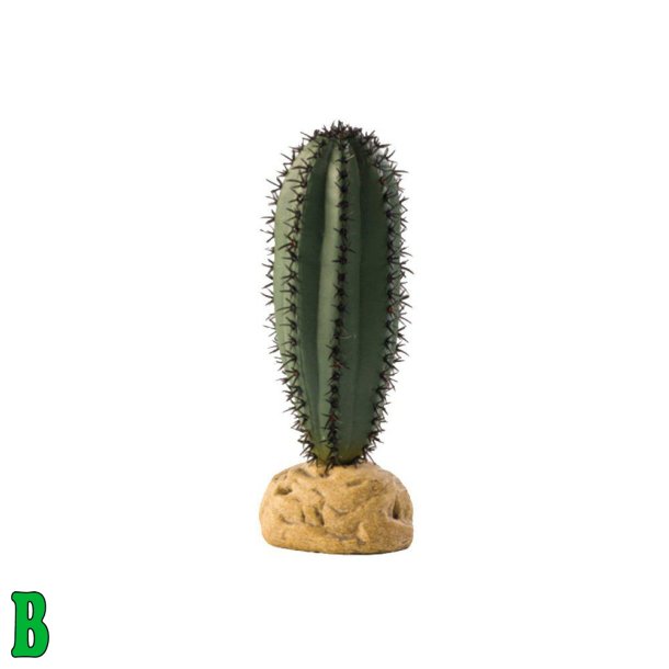 Exo Terra Stokkaktus rkenplante 6,3x5x16 cm 