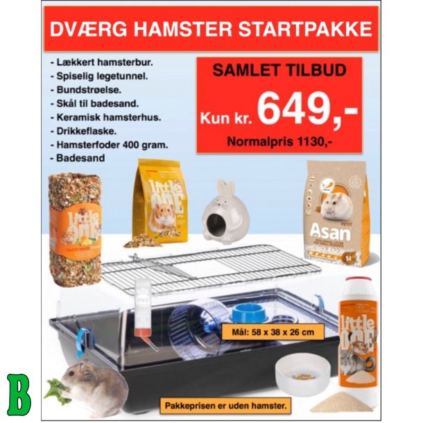 Hamster Starterst