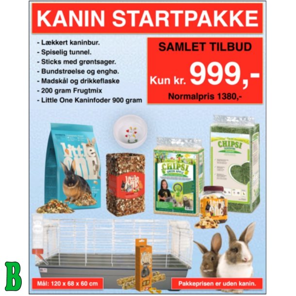 Kanin Starterst