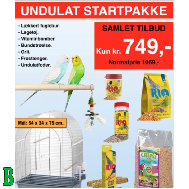 Undulat Starterst