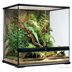 Terrarier
